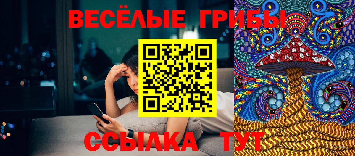 Псилоцибиновые грибы мицелий  Вход с VPN  Зеленокумск 